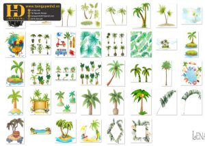 Cây Dừa Tách Nền PNG 2