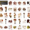 Cây Nấm Tách Nền PNG 2