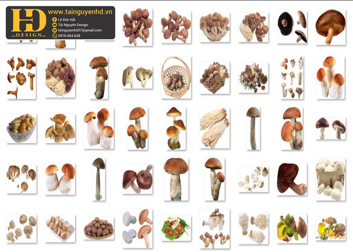 Cây Nấm Tách Nền PNG 2