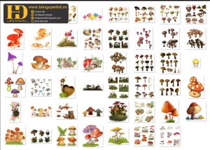 Cây Nấm Tách Nền PNG 5
