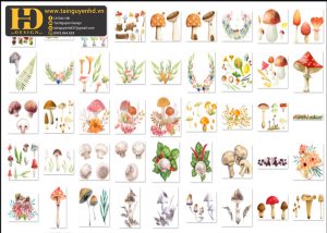Cây Nấm Tách Nền PNG 6