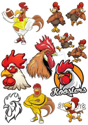 Checkin, Gà Trống, Vector Con Gà (2)