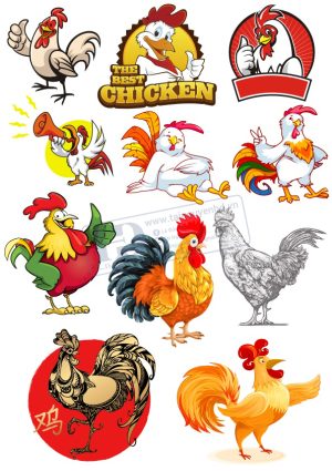 Chicken, Vector Con Gà Trống (1)