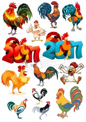 Chicken, Vector Con Gà Trống (13)