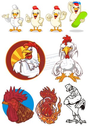 Chicken, Vector Con Gà Trống (15)