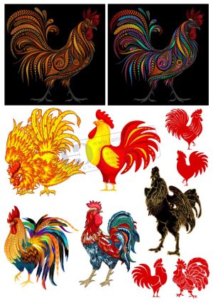 Chicken, Vector Con Gà Trống (6)