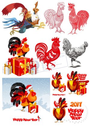 Chicken, Vector Con Gà Trống (7)