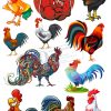 Chicken, Vector Con Gà Trống (8)