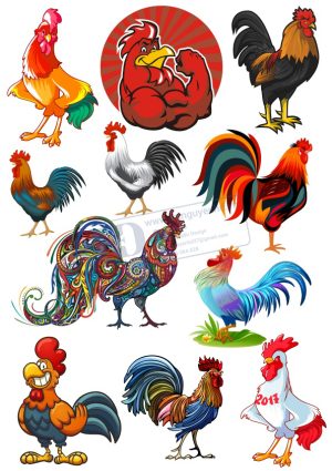Chicken, Vector Con Gà Trống (8)