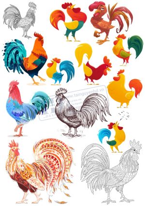 Chicken, Vector Con Gà Trống (9)