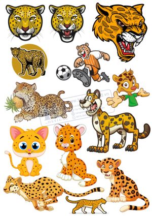 Con Báo, Vector Động Vật