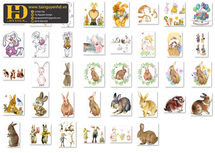 Con Thỏ, Rabbit PNG 3