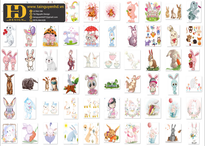 Con Thỏ, Rabbit PNG 4