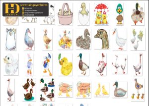 Con Vịt, Con Ngỗng, Vịt Con PNG 3