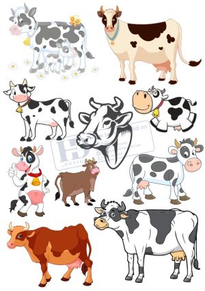 Cow, Con Bò, Vector Con Bò (10)