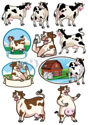 Cow, Con Bò, Vector Con Bò (9)