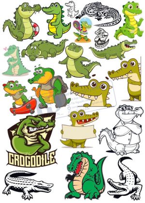 Crocodile, Cá Sấu, Vector Con Cá Sấu 21
