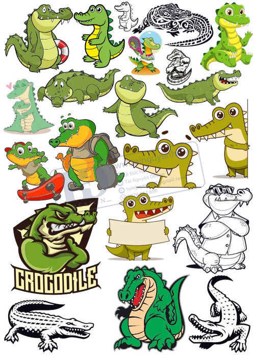 Crocodile, Cá Sấu, Vector Con Cá Sấu 21