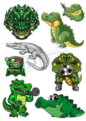 Crocodile, Cá Sấu, Vector Con Cá Sấu 33
