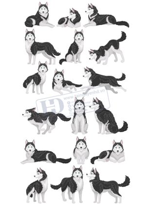 Dog, Con Chó, Vector Con Chó (9)