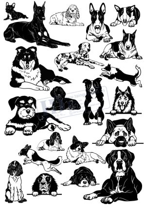 Dog, Vector Con Chó Đốm