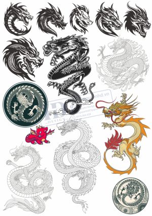 Dragon, Con Rồng, Vector Con Rồng (6)