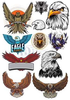 Eagle, Đại Bàng, Vector Logo Đại Bàng