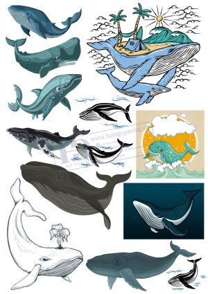 Fish, Con Cá, Vector Con Cá (17)
