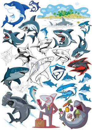 Fish, Con Cá, Vector Con Cá (2)