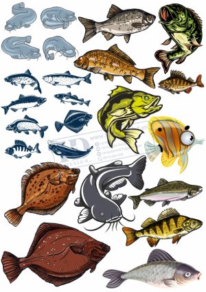 Fish, Con Cá, Vector Con Cá (3)