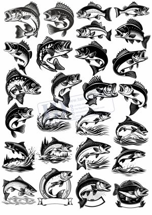 Fish, Con Cá, Vector Con Cá (4)