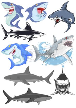 Fish, Con Cá, Vector Con Cá (5)