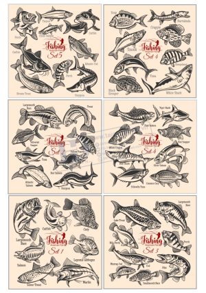 Fish, Con Cá, Vector Con Cá (6)