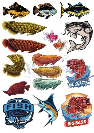 Fish, Con Cá, Vector Con Cá (8)