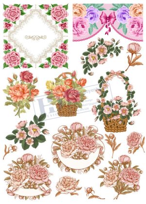 Flower, Frames, Vector Bông Hoa Hồng