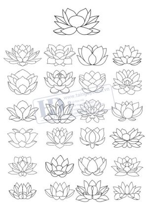 Flower, Frames, Vector Bông Hoa Sen 1