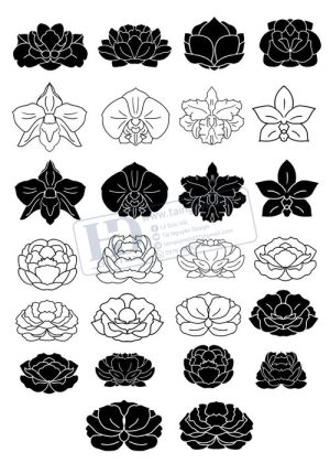 Flower, Frames, Vector Bông Hoa Sen 2