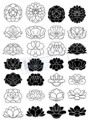 Flower, Frames, Vector Bông Hoa Sen 3