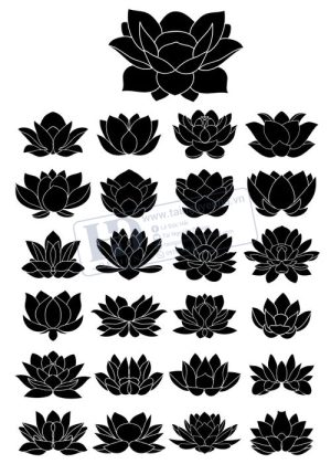 Flower, Frames, Vector Bông Hoa Sen
