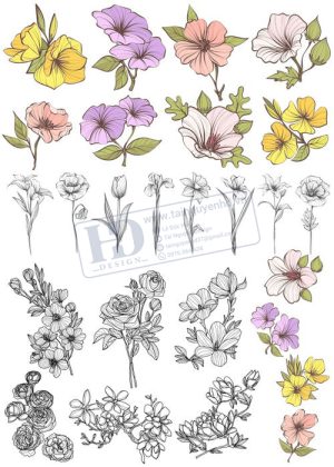 Flower, Frames, Vector Bông Hoa, Vòng Hoa 12