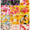 Flower, Frames, Vector Bông Hoa, Vòng Hoa 19