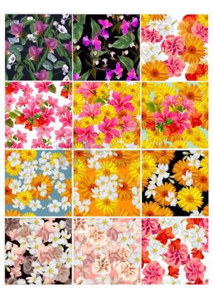 Flower, Frames, Vector Bông Hoa, Vòng Hoa 19