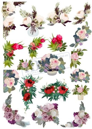 Flower, Frames, Vector Bông Hoa, Vòng Hoa 22