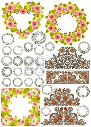 Flower, Frames, Vector Bông Hoa, Vòng Hoa