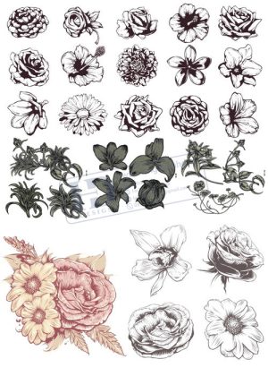 Flower, Frames, Vector Bông Hoa, Vòng Hoa 29