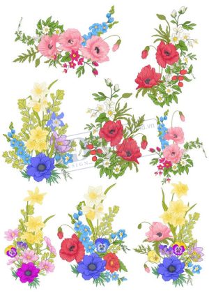 Flower, Frames, Vector Bông Hoa, Vòng Hoa 31