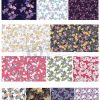 Flower, Frames, Vector Bông Hoa, Vòng Hoa 35