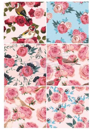 Flower, Frames, Vector Bông Hoa, Vòng Hoa 38