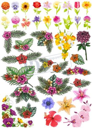 Flower, Frames, Vector Bông Hoa, Vòng Hoa 4