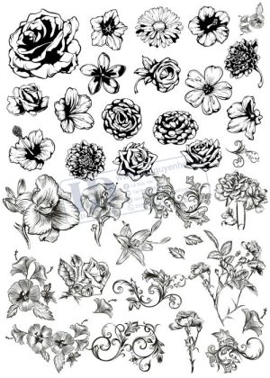 Flower, Frames, Vector Bông Hoa, Vòng Hoa 42